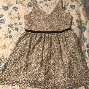 Lace Party Dress